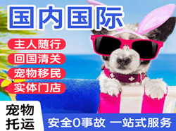 莫高航空物流国际宠物托运 【国